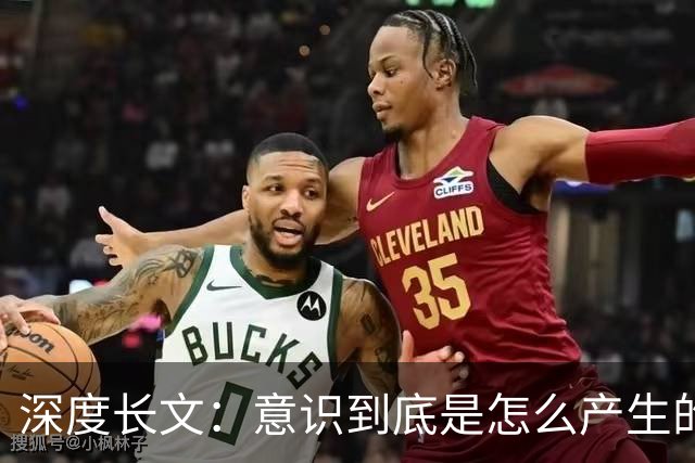 深度长文：意识到底是怎么产生的？你的意识根本不属于你自己？